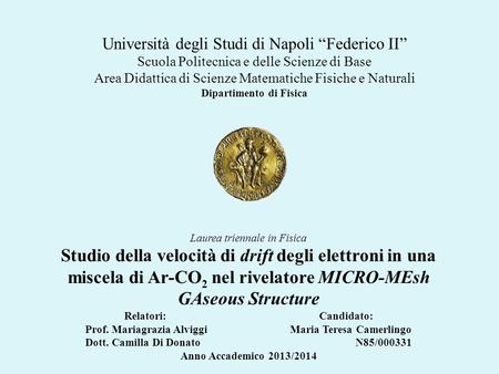 Università degli Studi di Napoli “Federico II” Scuola Politecnica e delle Scienze di Base Area Didattica di Scienze Matematiche Fisiche e Naturali Dipartimento.