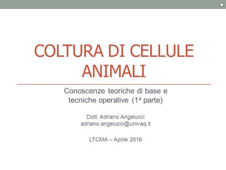 COLTURA DI CELLULE ANIMALI Conoscenze teoriche di base e tecniche operative (1 a parte) Dott. Adriano Angelucci LTCMA – Aprile.
