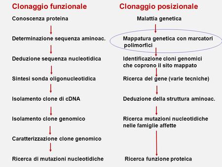 Clonaggio funzionale Clonaggio posizionale Conoscenza proteina Malattia genetica Determinazione sequenza aminoac.Mappatura genetica con marcatori polimorfici.