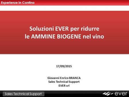 Soluzioni EVER per ridurre le AMMINE BIOGENE nel vino 17/09/2015 Giovanni Enrico BRANCA Sales Technical Support EVER srl Sales Technical Support Esperienze.