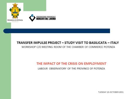 TRANSFER IMPULSE PROJECT – STUDY VISIT TO BASILICATA – ITALY WORKSHOP C/O MEETING ROOM OF THE CHAMBER OF COMMERCE POTENZA THE IMPACT OF THE CRISIS ON EMPLOYMENT.