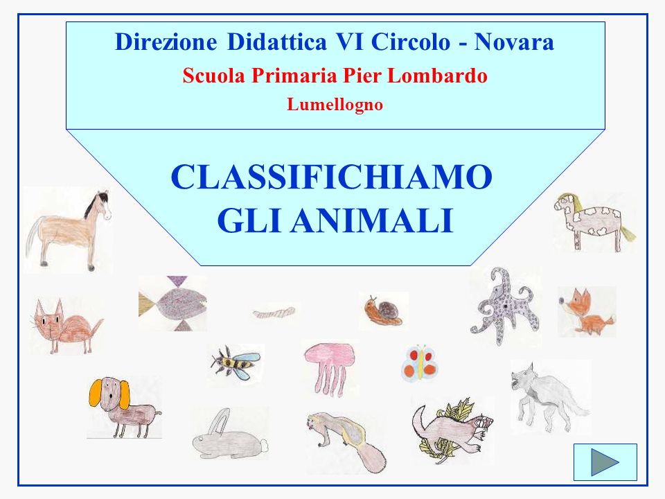 Direzione Didattica Vi Circolo Novara Scuola Primaria Pier Lombardo Ppt Video Online Scaricare