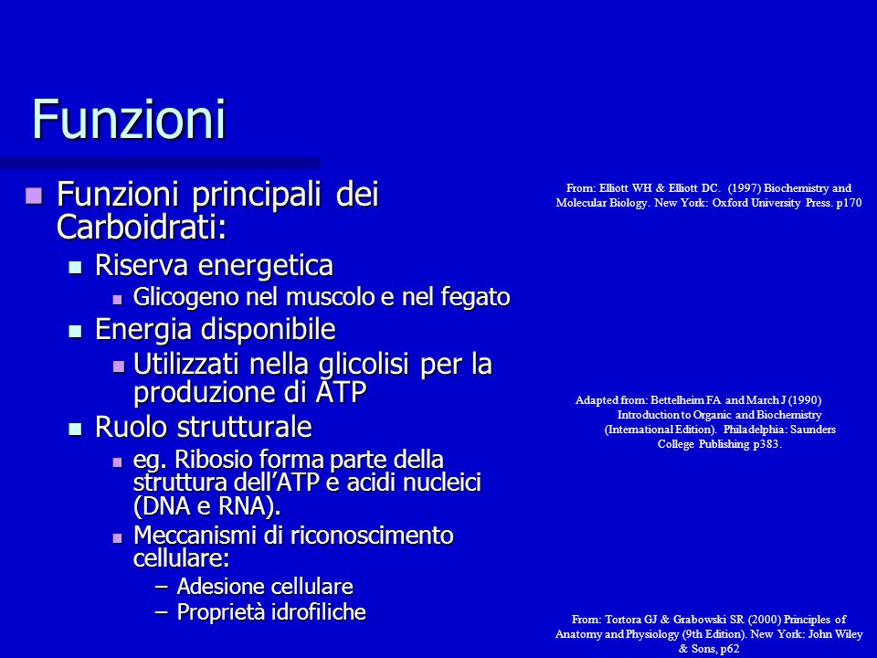 funzione dei carboidrati