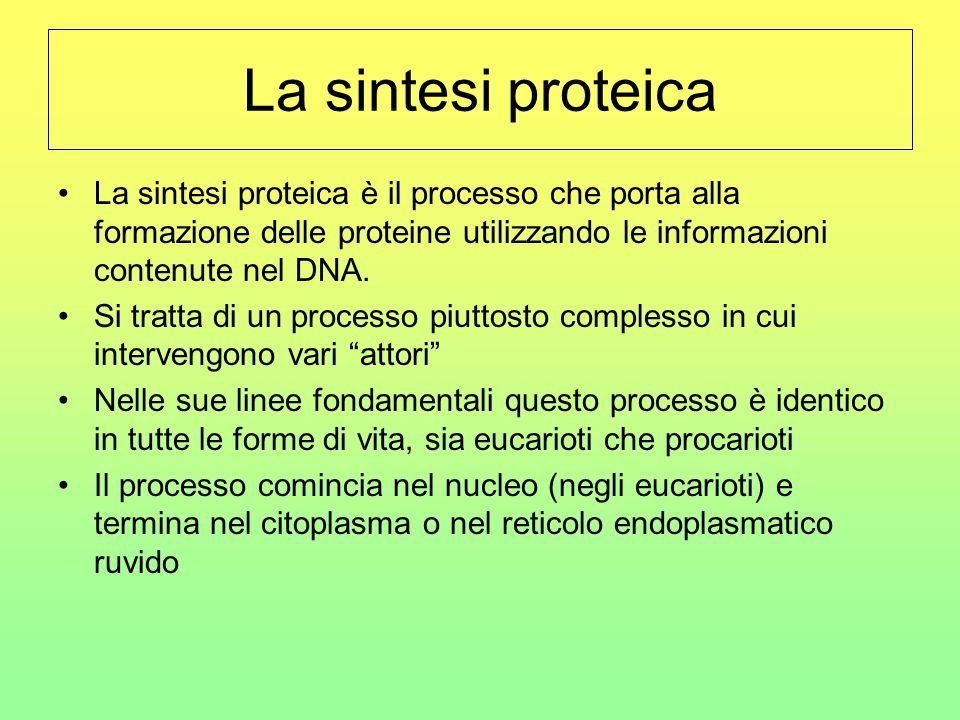 La sintesi proteica La sintesi proteica è il processo che porta alla  formazione delle proteine utilizzando le informazioni contenute nel DNA. Si  tratta. - ppt video online scaricare