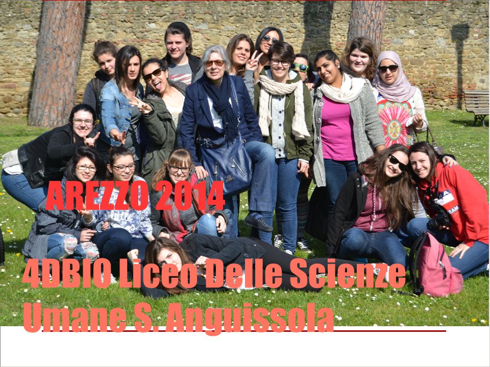 AREZZO DBIO Liceo Delle Scienze Umane S. Anguissola. ppt scaricare