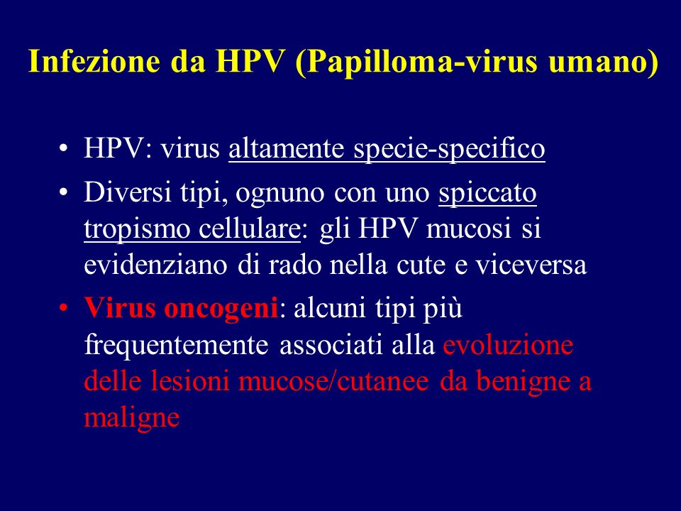 papilloma virus infezione latente