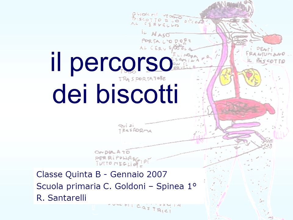 Il Percorso Dei Biscotti Ppt Scaricare