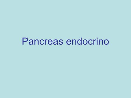 Pancreas endocrino.