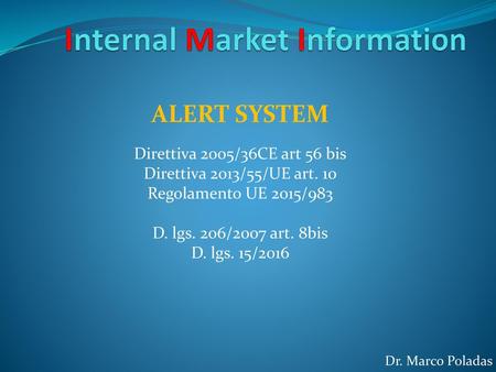 Internal Market Information