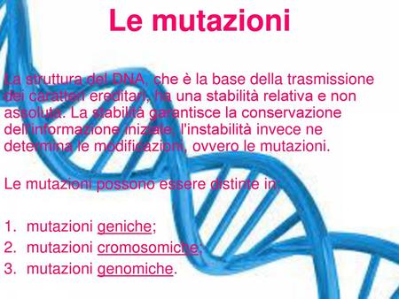 Le mutazioni La struttura del DNA, che è la base della trasmissione dei caratteri ereditari, ha una stabilità relativa e non assoluta. La stabilità garantisce.