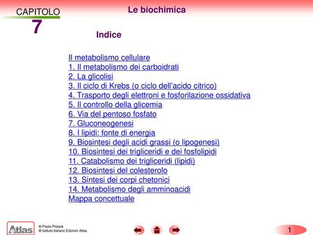 7 Le biochimica CAPITOLO Indice Il metabolismo cellulare