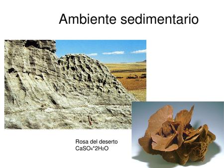 Ambiente sedimentario