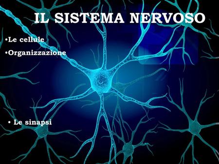 IL SISTEMA NERVOSO Le cellule Organizzazione Le sinapsi.