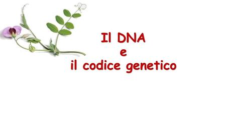 Il DNA e il codice genetico