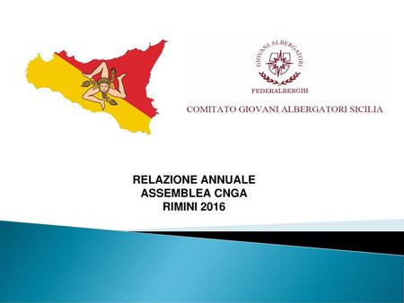 ASSEMBLEA CNGA Rimini 2015 RELAZIONE ANNUALE