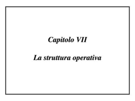 Capitolo VII La struttura operativa