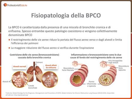 Fisiopatologia della BPCO