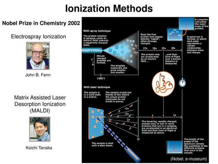Matrix Assisted Laser Desorption Ionization (MALDI)