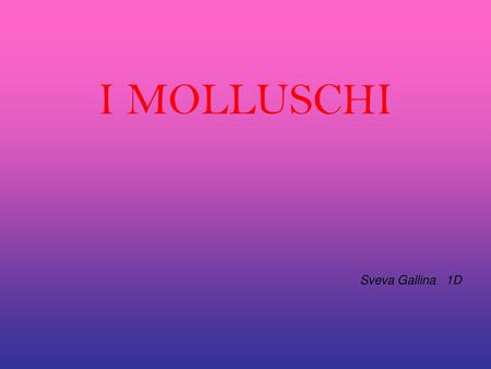 I MOLLUSCHI Sveva Gallina 1D.