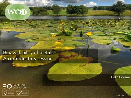 Bioavailability of metals - An introductory session