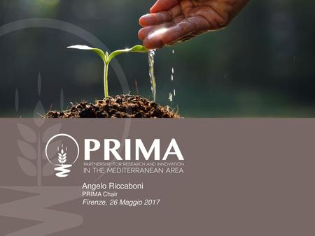 Angelo Riccaboni PRIMA Chair Firenze, 26 Maggio 2017.