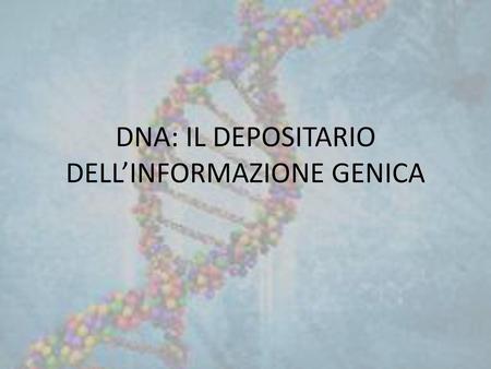 DNA: IL DEPOSITARIO DELL’INFORMAZIONE GENICA