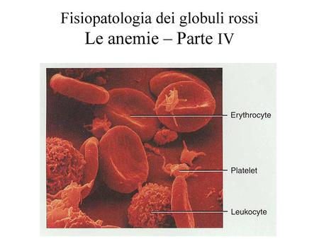 Fisiopatologia dei globuli rossi Le anemie – Parte IV