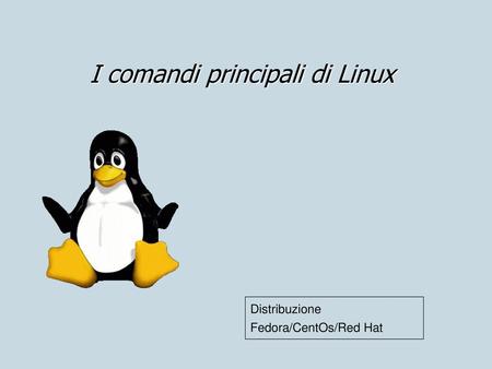 I comandi principali di Linux