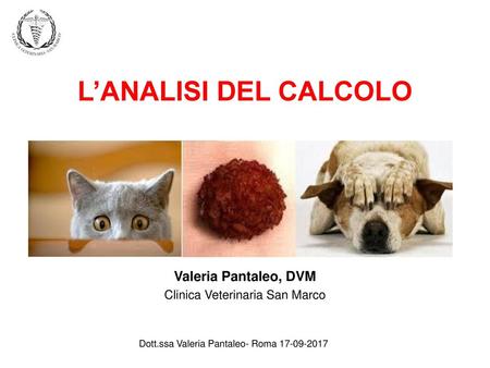 Valeria Pantaleo, DVM Clinica Veterinaria San Marco