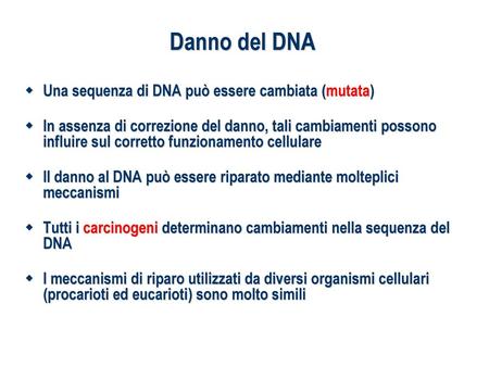 Danno del DNA Una sequenza di DNA può essere cambiata (mutata)
