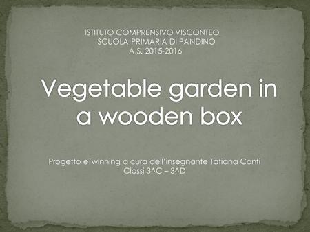 Vegetable garden in a wooden box