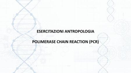ESERCITAZIONI ANTROPOLOGIA POLIMERASE CHAIN REACTION (PCR)
