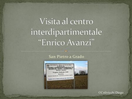 Visita al centro interdipartimentale “Enrico Avanzi”