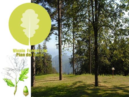 Il Rifugio Escursionistico è situato all’interno del Vivaio Forestale Pian dei Corsi, dotato di circa 30 posti letto con riscaldamento, acqua calda e servizio.