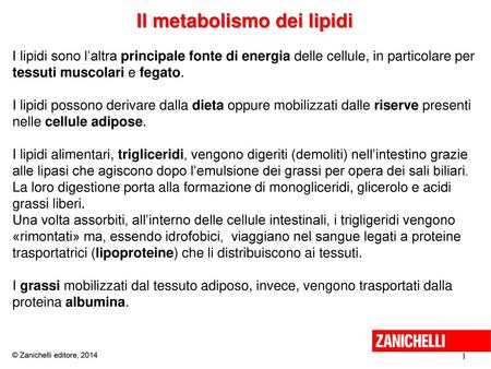 Il metabolismo dei lipidi