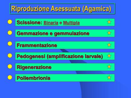 Riproduzione Asessuata (Agamica)