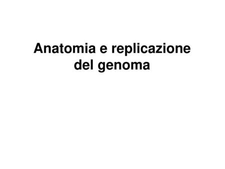 Anatomia e replicazione del genoma