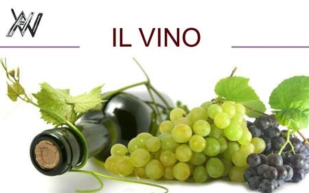 IL VINO.