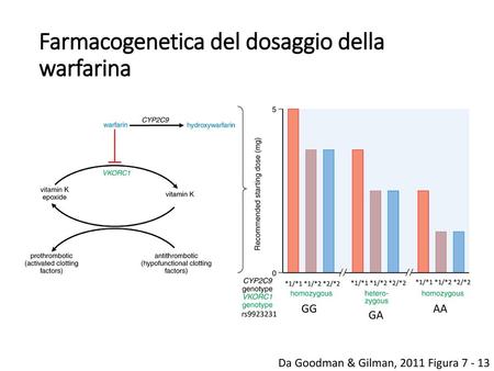 Farmacogenetica del dosaggio della warfarina
