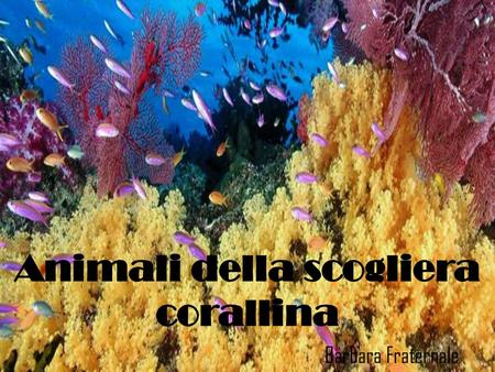 Animali della scogliera corallina