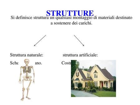 STRUTTURE Si definisce struttura un qualsiasi montaggio di materiali destinato a sostenere dei carichi. Struttura naturale: struttura.