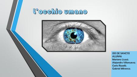 L’occhio umano ISIS DE SANCTIS ALUNNI: Mariano Liuzzi;