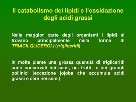 Il catabolismo dei lipidi e l’ossidazione degli acidi grassi