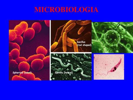 MICROBIOLOGIA.