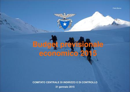 Budget previsionale economico 2015
