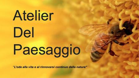 La salvaguardia degli insetti impollinatori come api, coccinelle etc