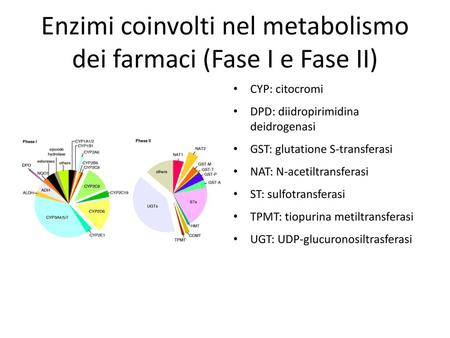 Enzimi coinvolti nel metabolismo dei farmaci (Fase I e Fase II)