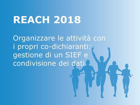 REACH 2018 Organizzare le attività con i propri co-dichiaranti: