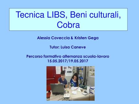 Tecnica LIBS, Beni culturali, Cobra