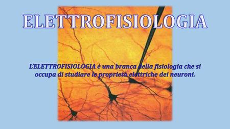 ELETTROFISIOLOGIA L’ELETTROFISIOLOGIA è una branca della fisiologia che si occupa di studiare le proprietà elettriche dei neuroni.